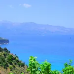 Dori Villa *